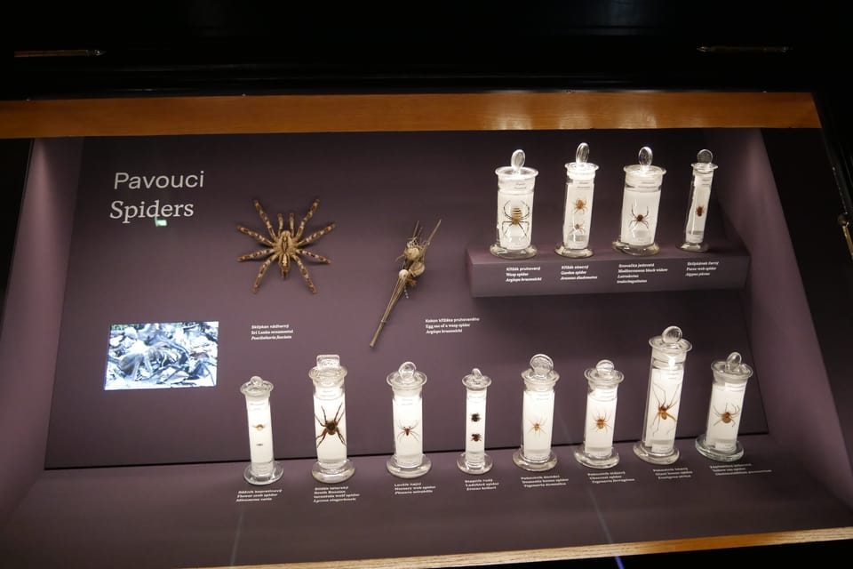 'The Miracles of Evolution' | Photo: Zoé Samin, Radio Prague International 'The Miracles of Evolution' | Photo: Zoé Samin, Radio Prague International
