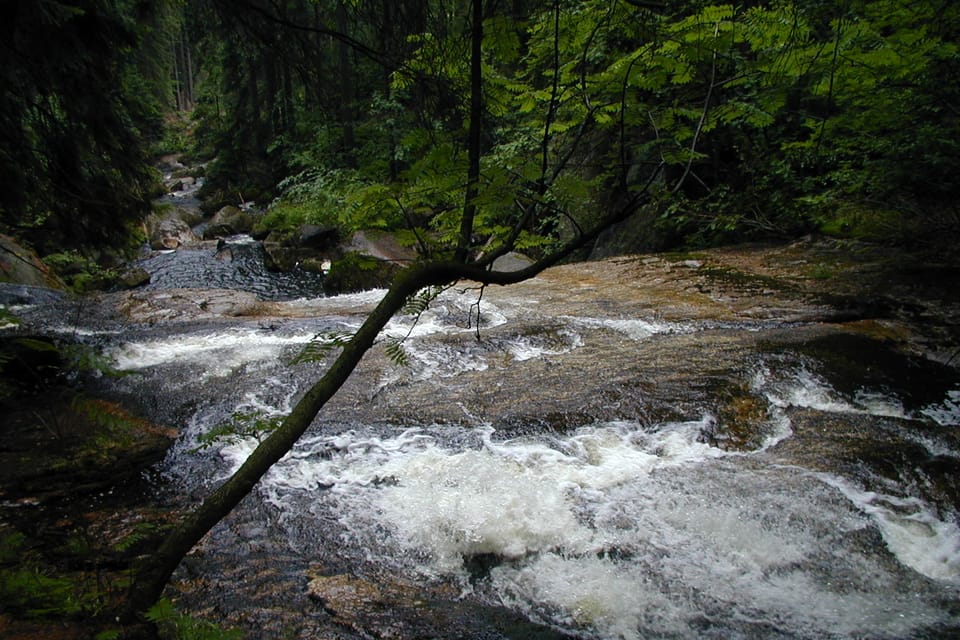 Černá Desná river in the Jizera Mountains | Photo: Radio Prague International Černá Desná river in the Jizera Mountains | Photo: Radio Prague International