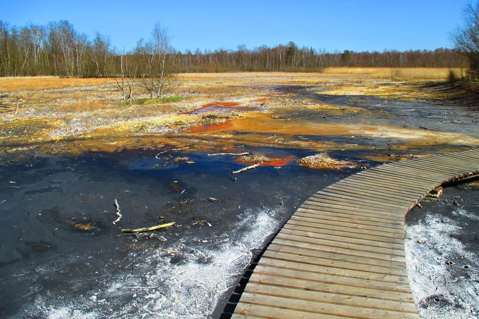 National Nature Reserve SOOS near Františkovy lázně | Photo: Pavel Halla, Czech Radio National Nature Reserve SOOS near Františkovy lázně | Photo: Pavel Halla, Czech Radio
