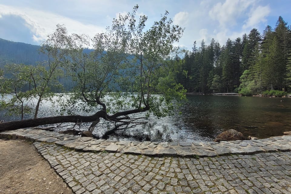 Černé jezero | Photo: Hana Slavická,  Radio Prague International