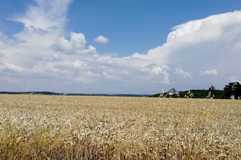 Place of Battle of White Mountain,  November 8,  1620,  photo: Štěpánka Budková