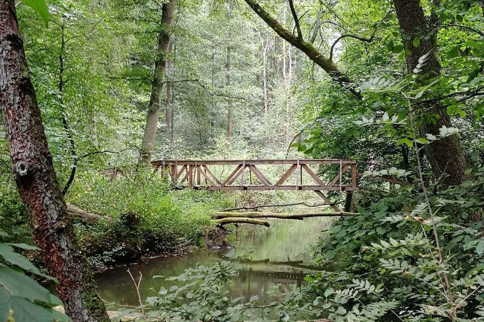 Nature reserve Peklo in the Kokořín region | Photo: Štěpánka Budková,  Radio Prague International