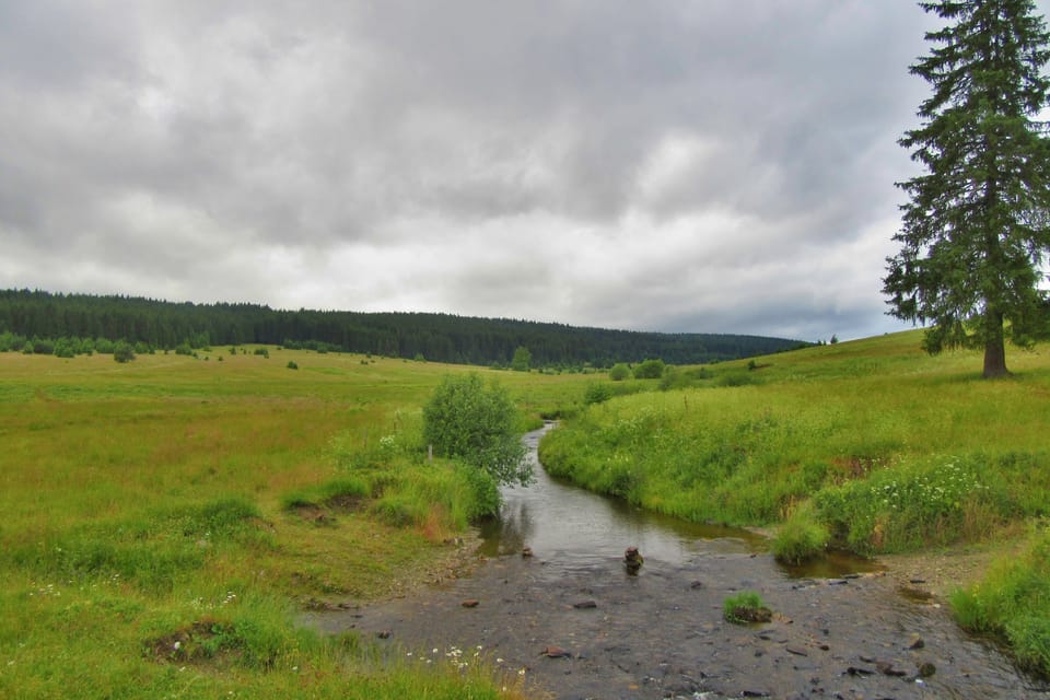 Křemelná river | Photo: Pavel Halla, Czech Radio Křemelná river | Photo: Pavel Halla, Czech Radio