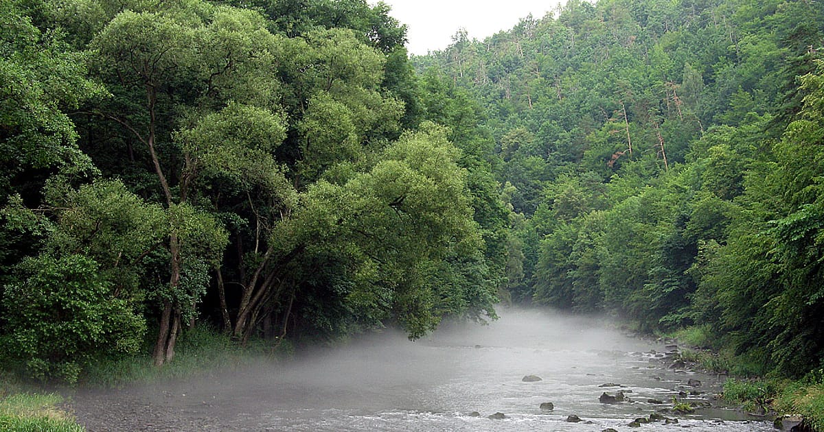 ?Moravian Amazon” set to enjoy protected status after decades of debate