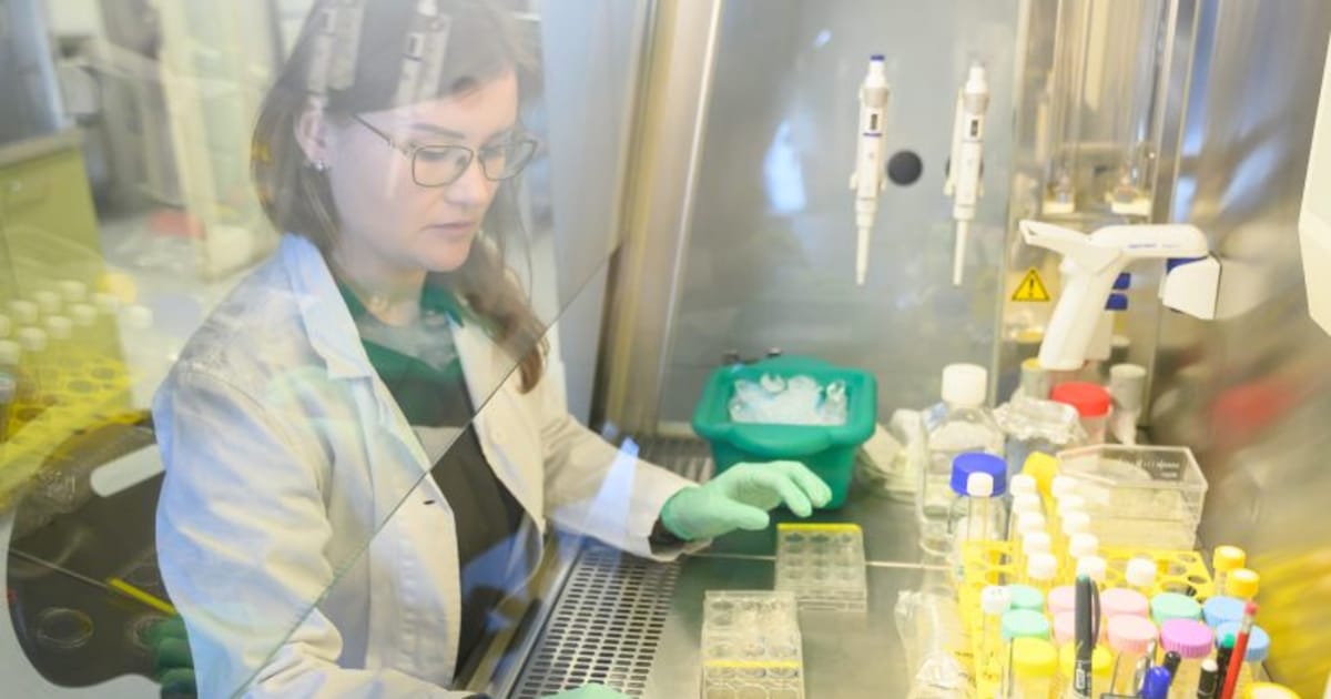 ‘No more animal testing’: Scientists in Zlín developing lab model of ...