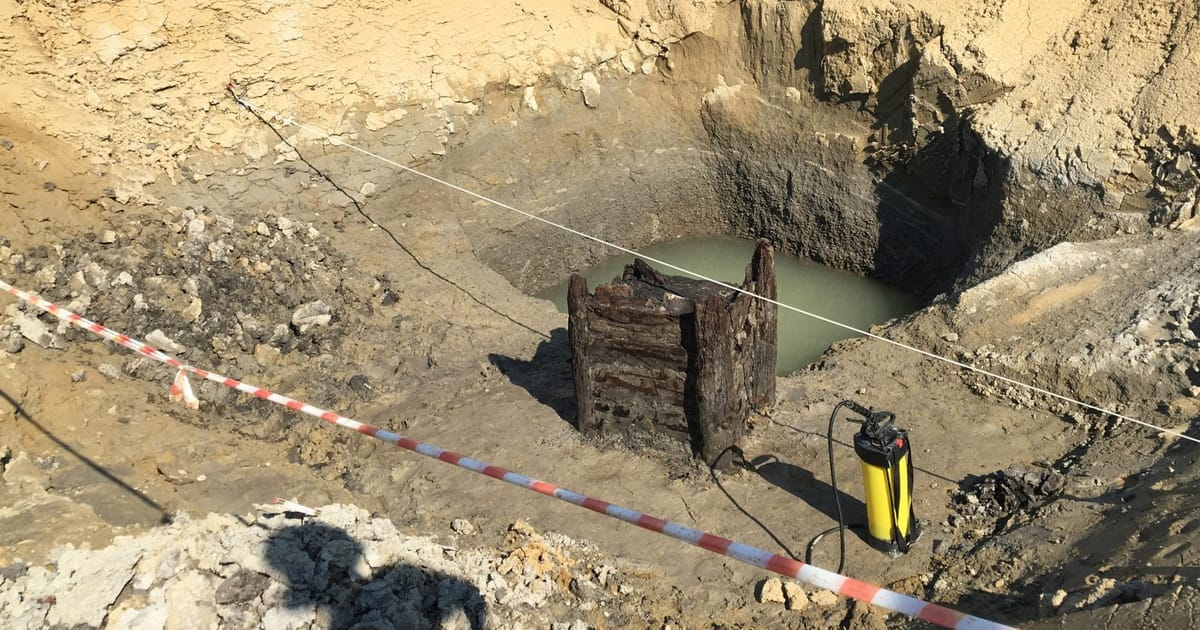 Nejstarší dřevěný kus na světě bude již brzy vystaven v České republice