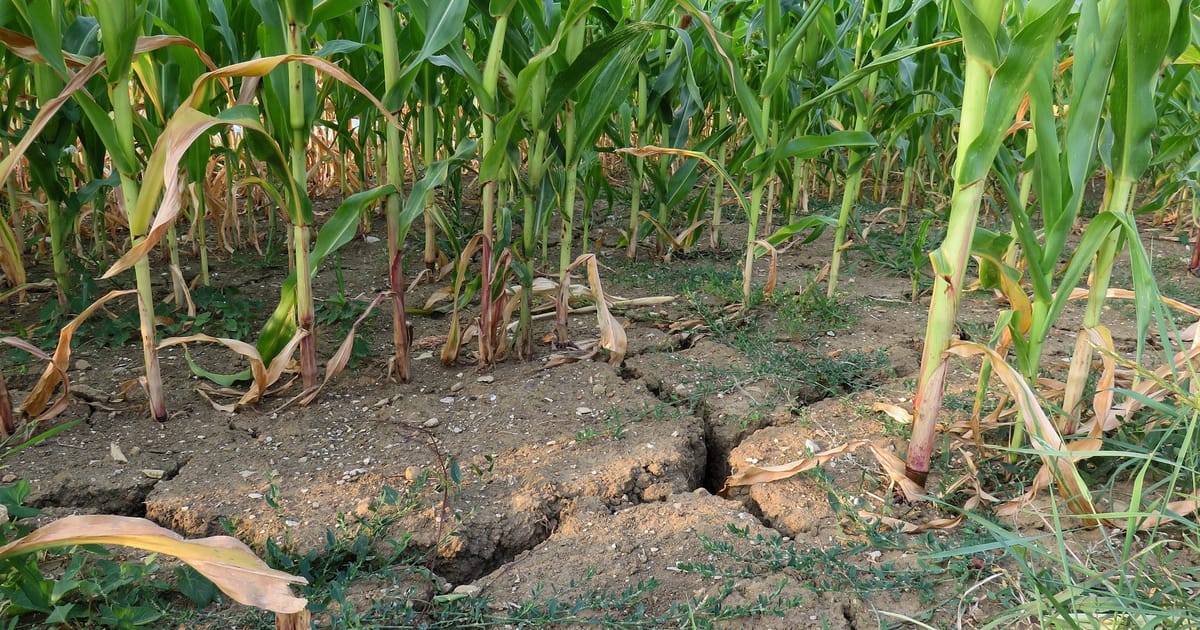 Sucho Measures taken as over 60 percent of Czech Republic hit by extreme ...