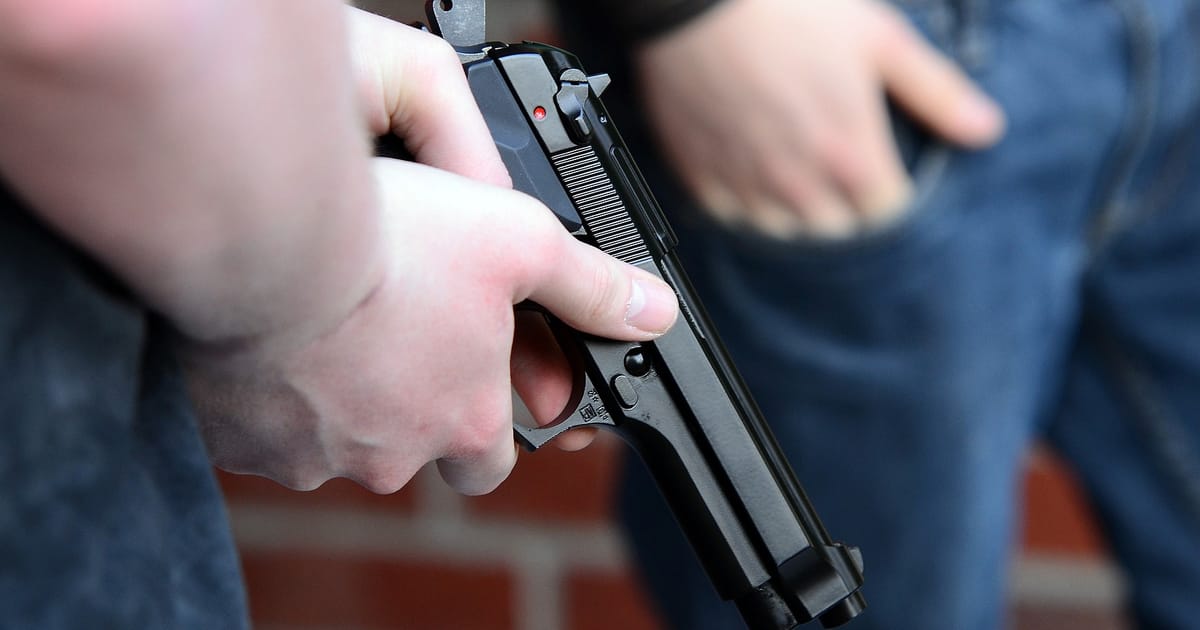New Czech gun legislation planned for 2026 – but no compulsory mental tests