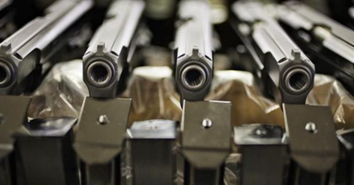 Interior Ministry Wants To Give Czech Firearms Holders The Right To Use ...