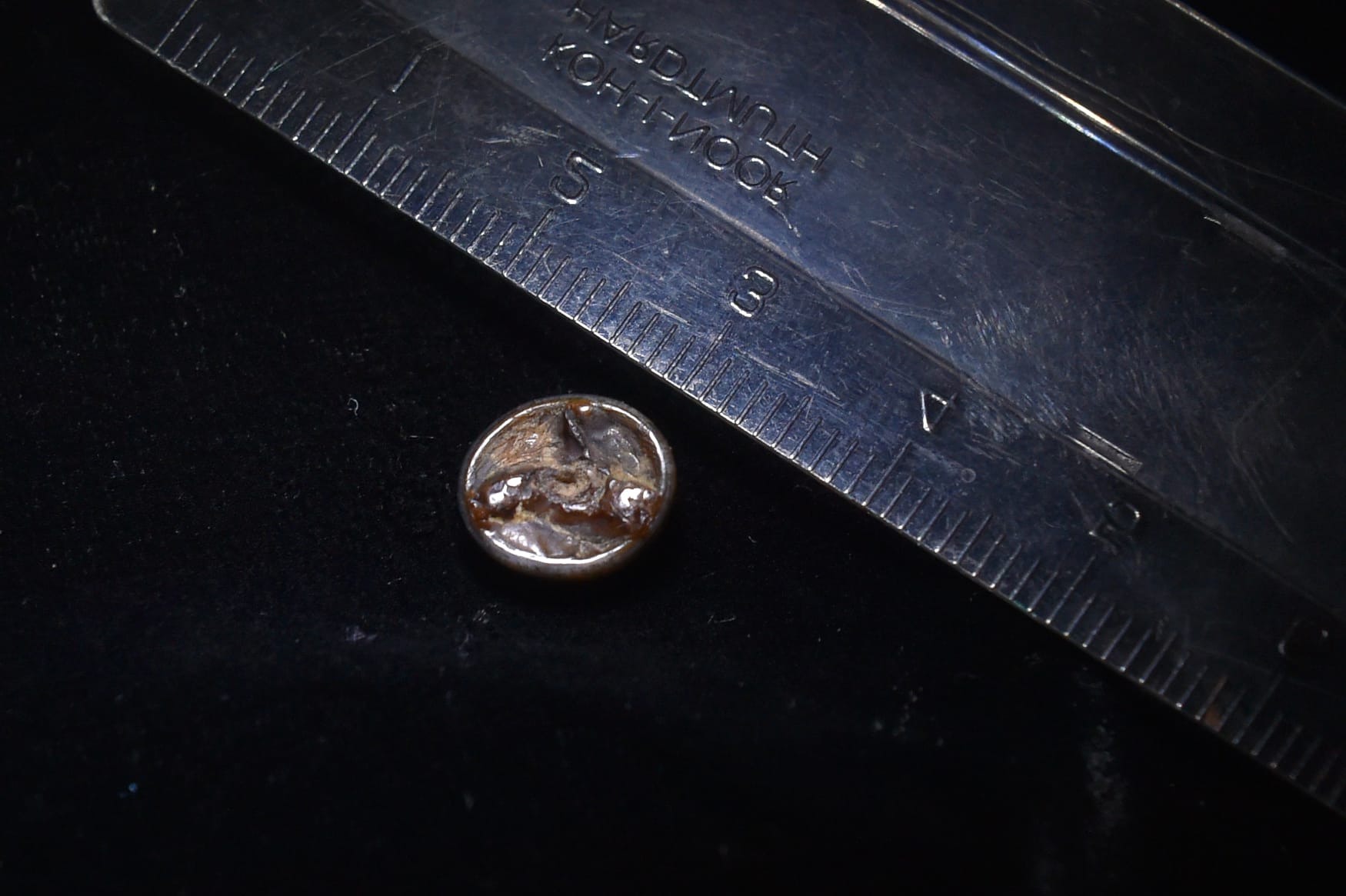 Toadstone Rare “toadstone” of myth found in already priceless 13th century ...